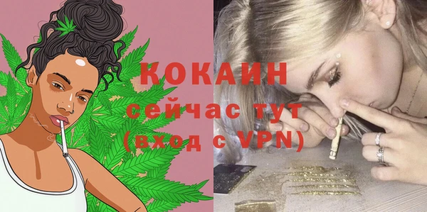 mdpv Белокуриха