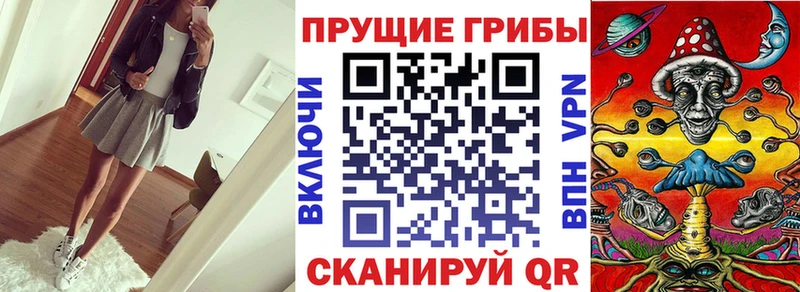 OMG сайт  Видное  Галлюциногенные грибы Magic Shrooms 